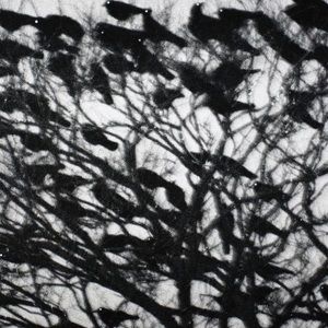 Meet your Posher, Cory